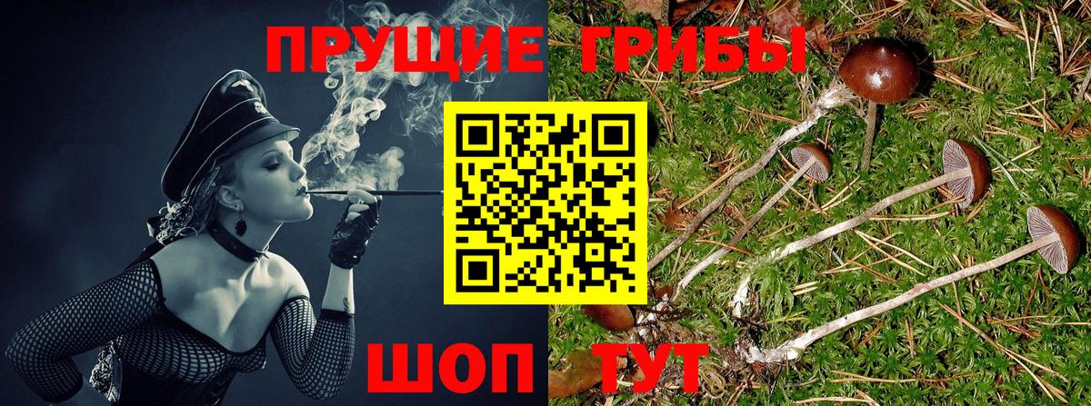 Галлюциногенные грибы мухоморы Нижний Тагил